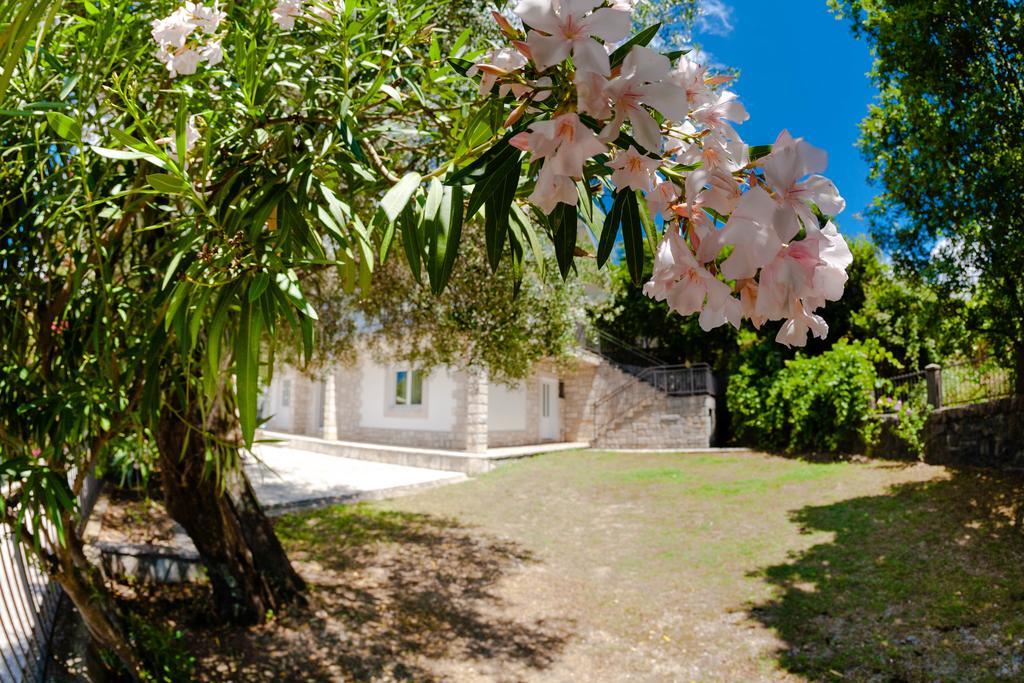 Olive Tree Villa تْشيرسيك نوفي المظهر الخارجي الصورة
